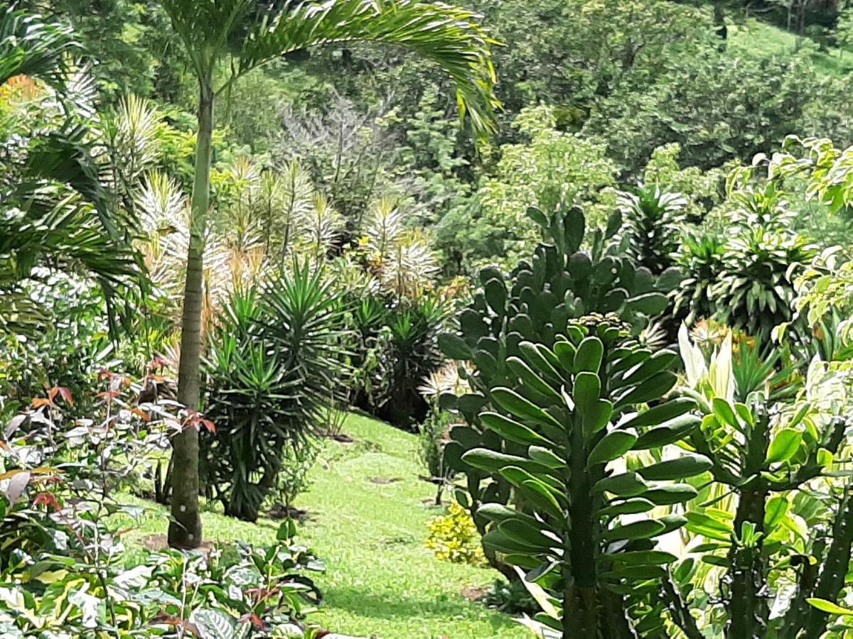 Marita'S Bed And Breakfast Nuevo Arenal Esterno foto