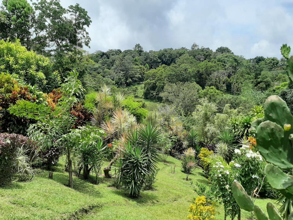 Marita'S Bed And Breakfast Nuevo Arenal Esterno foto