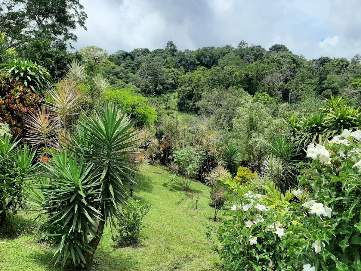 Marita'S Bed And Breakfast Nuevo Arenal Esterno foto