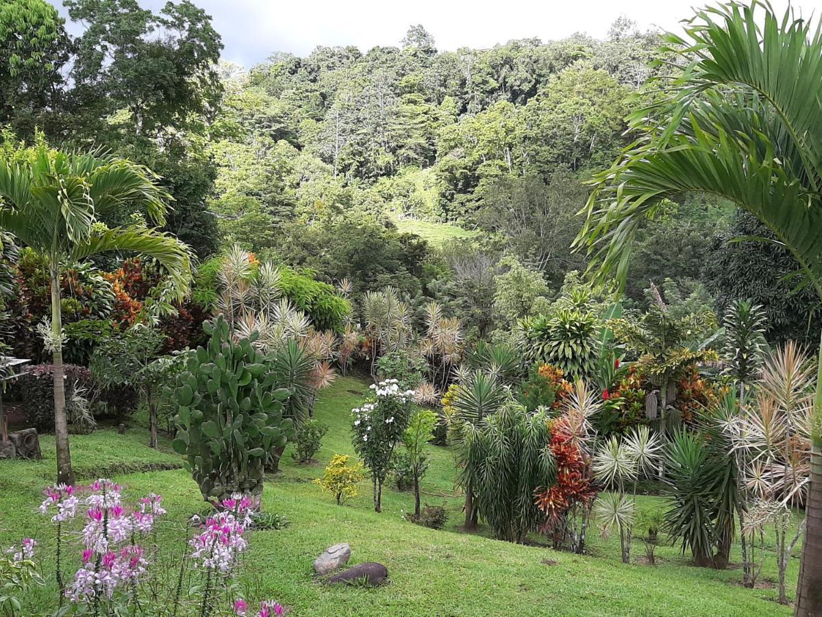 Marita'S Bed And Breakfast Nuevo Arenal Esterno foto