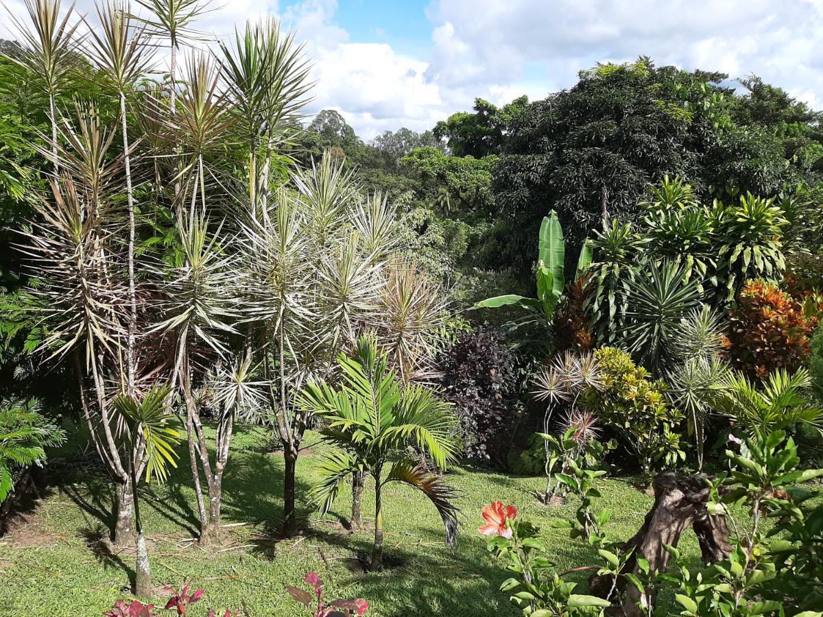 Marita'S Bed And Breakfast Nuevo Arenal Esterno foto